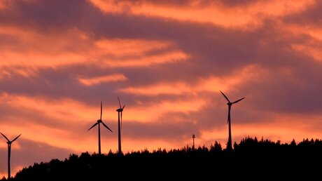 Windräder für Energiewende? (dpa)