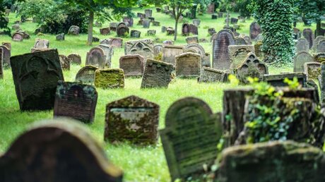Worms: Der älteste jüdische Friedhof Europas weist rund 2000 Gräber auf / © Frank Rumpenhorst (dpa)