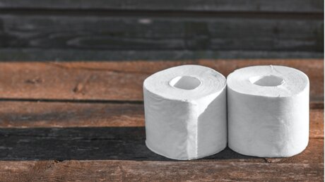 Zwei Rollen Toilettenpapier / © Pavel Kosolapov (shutterstock)
