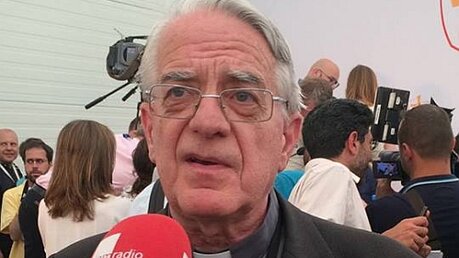 Noch ist er Vatikansprecher: Pater Federico Lombardi (DR)