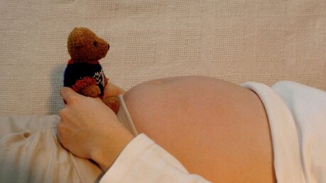 Babybauch mit Teddybär / © Harald Oppitz (dpa)