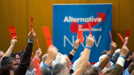 AfD-Parteitag in NRW im Juli / © Bernd Thissen (dpa)