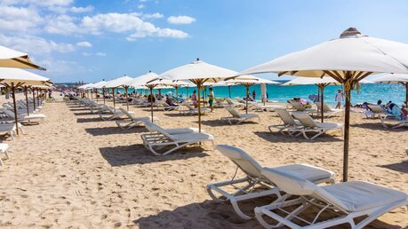 Am Strand von Palma de Mallorca / © Video Media Studio Europe (shutterstock)