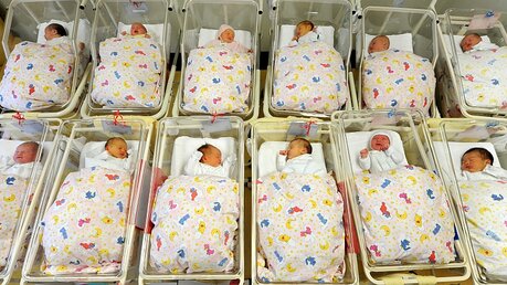 Babys in einem Krankenhaus in Halle / © Waltraud Grubitzsch (dpa)