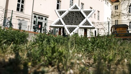 Bau der Neuen Synagoge Potsdam  / © Carsten Koall (dpa)