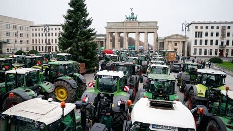 Bauernproteste vor dem Reichstag (Archiv) / © Kay Nietfeld (dpa)