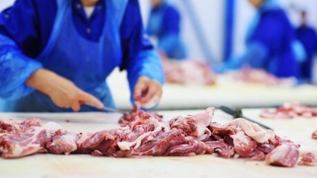 Beschäftigte in der Fleischindustrie / © Evgeniy Kalinovskiy (shutterstock)