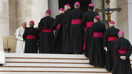 Bischöfe beim Papst / © Paul Haring (KNA)