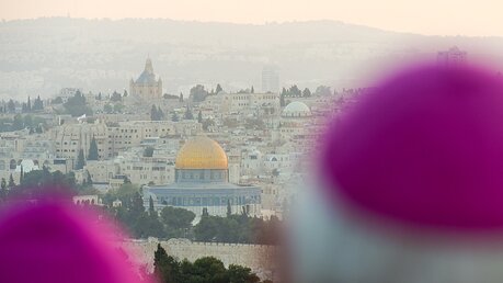 Bischöfe blicken vom Ölberg auf Jerusalem / © Harald Oppitz (KNA)