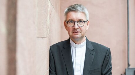Bischof Peter Kohlgraf / © Harald Oppitz (KNA)