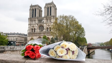 Blumen vor Notre-Dame / © Paul Haring (KNA)