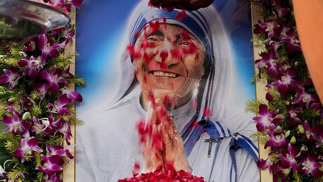Ein Gläubiger in Kolkata bestreut das Bild Mutter Teresas mit Blumen / © Piyal Adhikary (dpa)