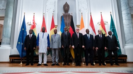 "Compact with Africa"-Teilnehmer beim Bundespräsidenten  / © Bernd von Jutrczenka (dpa)