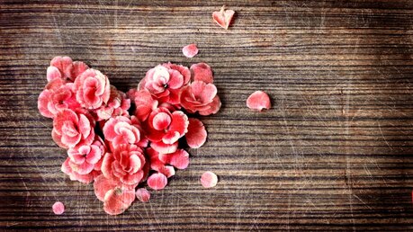 Ein Herz aus Blumen / © iravgustin (shutterstock)