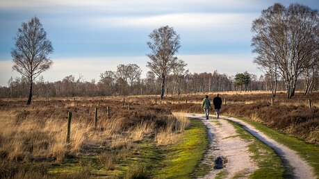 Ein Paar geht spazieren / © Jeroen Mikkers (shutterstock)