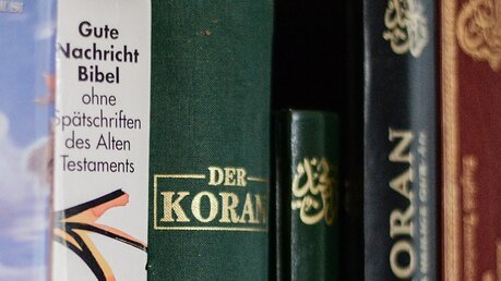 Koran und Bibel im Bücherregal / © Gioia Forster (dpa)