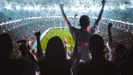 Fans jubeln im Fußballstadion / © Vasyl Shulga (shutterstock)