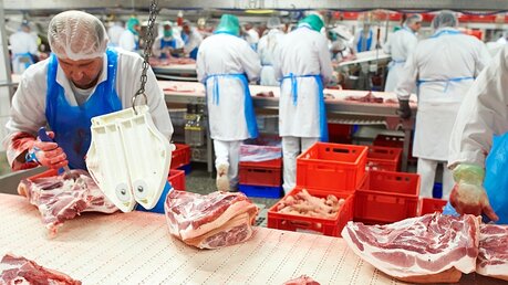 Mitarbeiter in einem Fleischbetrieb / © Bernd Thissen (dpa)
