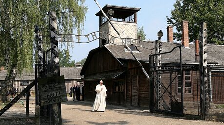 Papst Franziskus in Auschwitz / © Pawel Supernak (dpa)