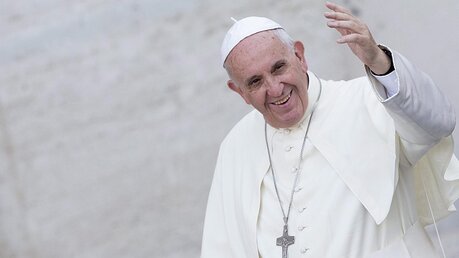 Papst Franziskus / © Claudio Peri (dpa)