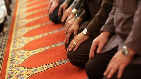 Muslime beim Gebet / © Fredrik von Erichsen (dpa)