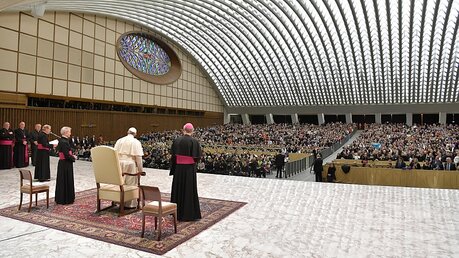 Generalaudienz mit Papst Franziskus / © Osservatore Romano (dpa)