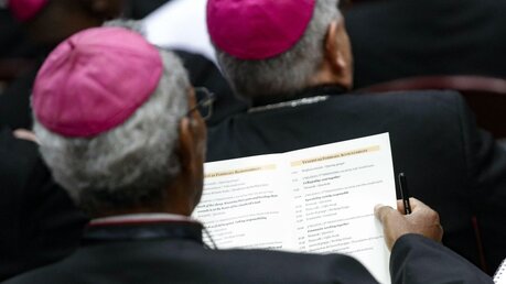Vatikan gibt Vademecum für Missbrauchsverfahren heraus / © Giuseppe Lami (dpa)
