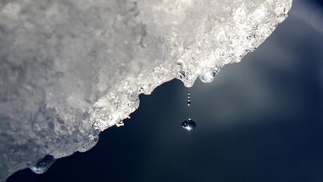 Gletscherschmelze / © David Goldman (dpa)