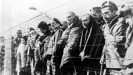 Häftlinge des Konzentrationslagers Auschwitz / © Novosti (epd)