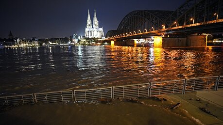 Hochwasser in Köln / © Henning Kaiser (dpa)
