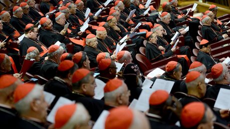 Kardinäle bei einem Konsistorium / © Cristian Gennari (KNA)