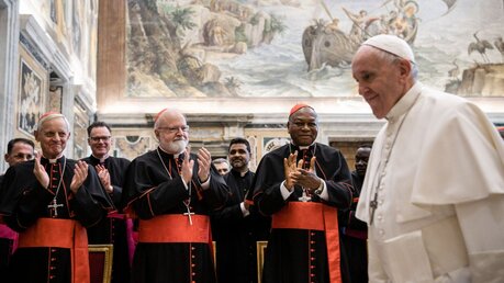 Papst Franziskus mit Kardinälen / © Vatican Media/Romano Siciliani (KNA)