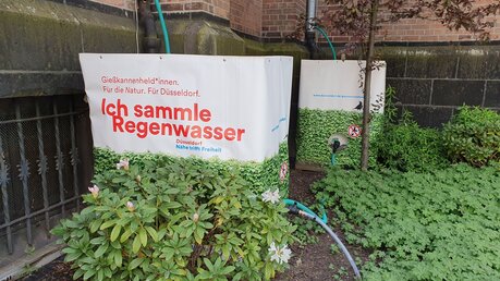 Regenwasser-Container in Düsseldorf-Bilk / © Barbara Fröde-Thierfelder (EBK)