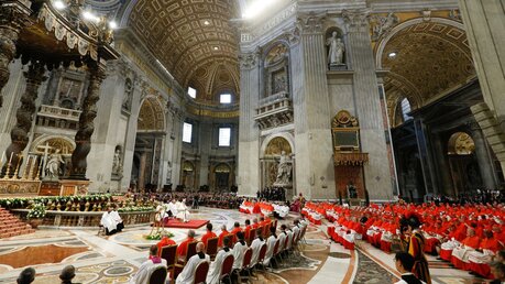 Kardinäle beim Konsistorium am 27. August 2022 im Petersdom im Vatikan / © Paul Haring (KNA)