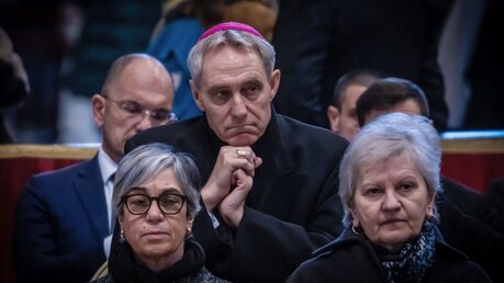Erzbischof Georg Gänswein / © Vatican Media/Romano Siciliani (KNA)