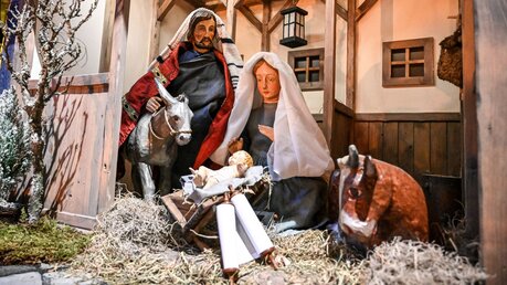 Josef, Maria und das Jesuskind im Stall mit Ochse und Esel, Szene der Milieukrippe in der Kirche Sankt Lyskirchen in Köln / © Harald Oppitz (KNA)