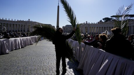 Palmzweige werden an Menschen verteilt, vor der Palmsonntagsmesse auf dem Petersplatz / © Gregorio Borgia/AP (dpa)