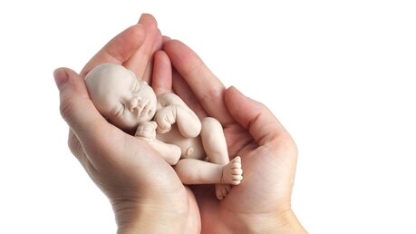 Symbolbild: Embryo in den Händen einer Frau / © vetre (shutterstock)