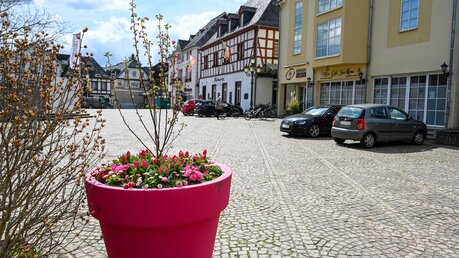 Ein großer bunter Blumenkübel auf dem Marktplatz in Ahrweiler  / ©  Harald Oppitz (KNA)