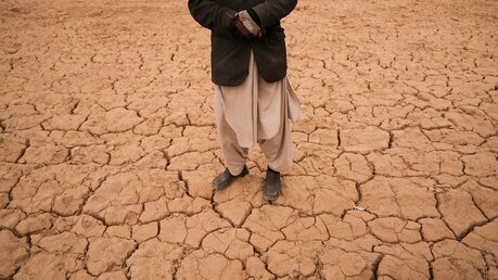 Dürre in Afghanistan / © Mstyslav Chernov (dpa)