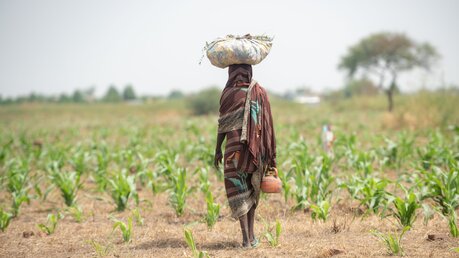 Landwirtschaft in Afrika / © mbrand85 (shutterstock)