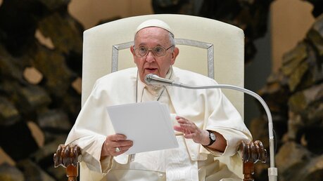 Papst Franziskus während der Generalaudienz / © Vatican Media (KNA)