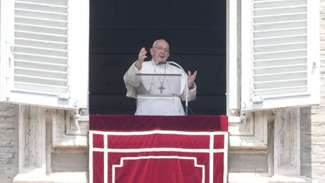 Papst Franziskus während des Regina caeli-Gebets / © Gregorio Borgia (dpa)