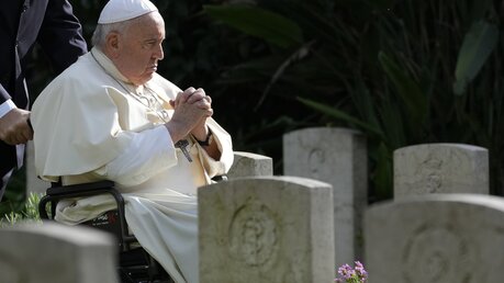 Papst Franziskus an Allerseelen (dpa)