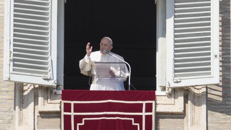Papst Franziskus spricht von seinem Fenster aus das Mittagsgebet / © Gregorio Borgia/AP (dpa)