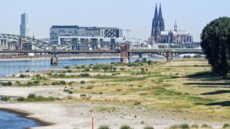 Niedriger Wasserstand im Rhein / © gerd-harder (shutterstock)