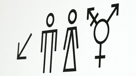 Symbole für geschlechtliche Vielfalt / © Jens Kalaene (dpa)