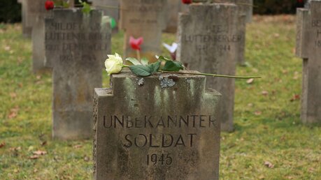 Eine gelbe Rose liegt auf dem Grabstein des unbekannten Soldaten auf dem Hauptfriedhof Eisenach. / © Martin Wichmann/Wichmann-TV (dpa)