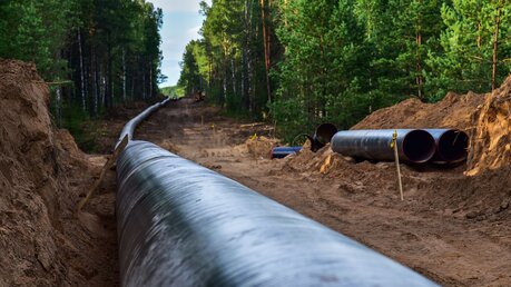 Bau einer Gaspipeline / © Maksim Safaniuk (shutterstock)