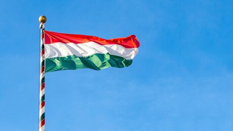 Ungarische Flagge / © Savvapanf Photo (shutterstock)